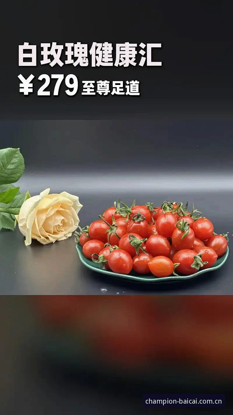 赔率实时计算拼手速还是拼算法？冠军白菜网论坛网中国和传统平台差距在哪